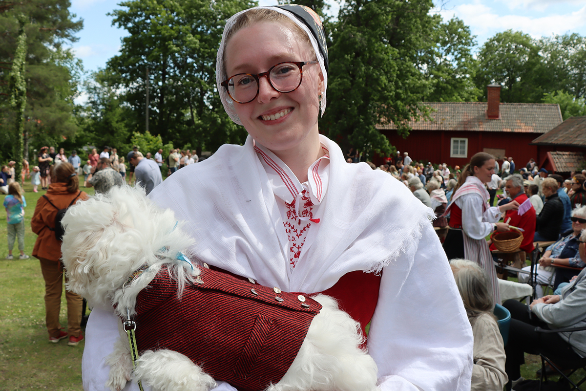 Välklädd liten hund i en tolkning av en mansväst från Ovansjö